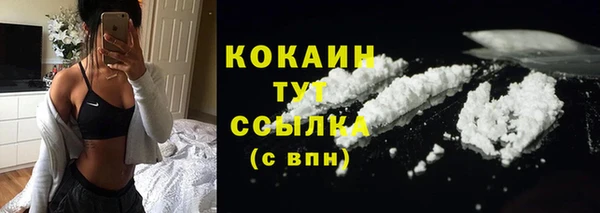 спиды Елизово
