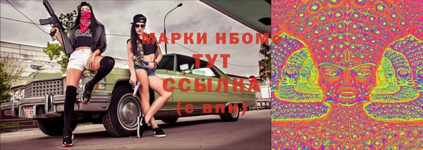спиды Елизово