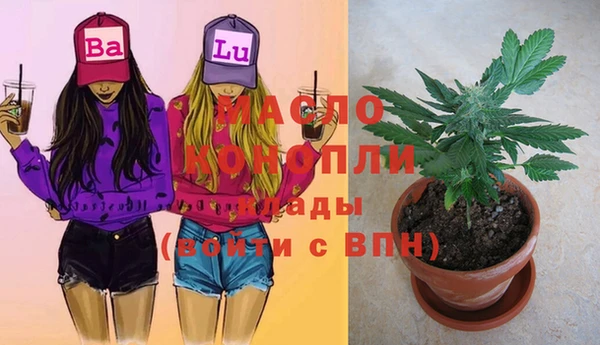 МДМА Ельня