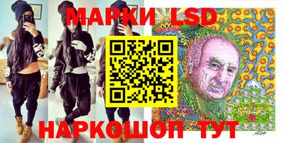 шишки Сланцы