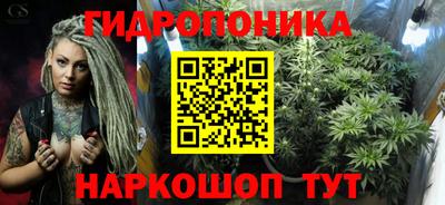 шишки Сланцы