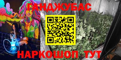 шишки Сланцы