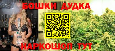 гидропоника Славгород