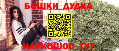 шишки Сланцы