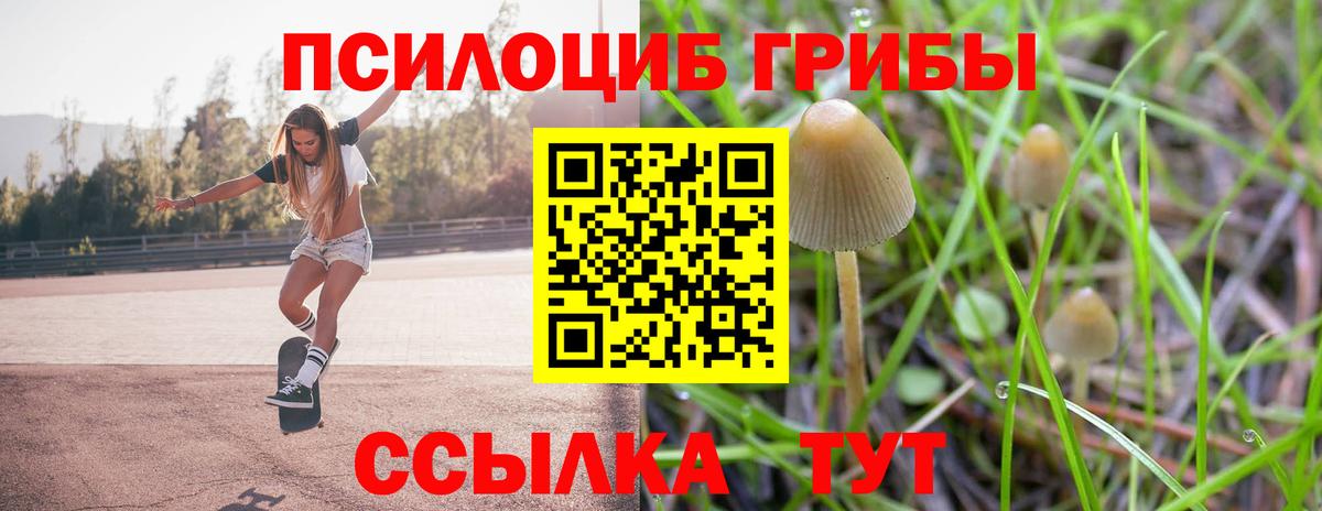 Галлюциногенные грибы Psilocybe Нижнекамск